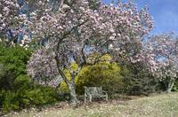 Explore the Beautiful Botanical Garden's of Norfolk!