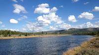 Madison River, Yellowstone National Park.