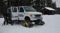 Yellowstone in the winter!