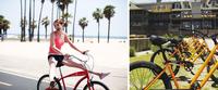 Beach Cruiser Weekly Bike Rental on the Outer Banks Collage