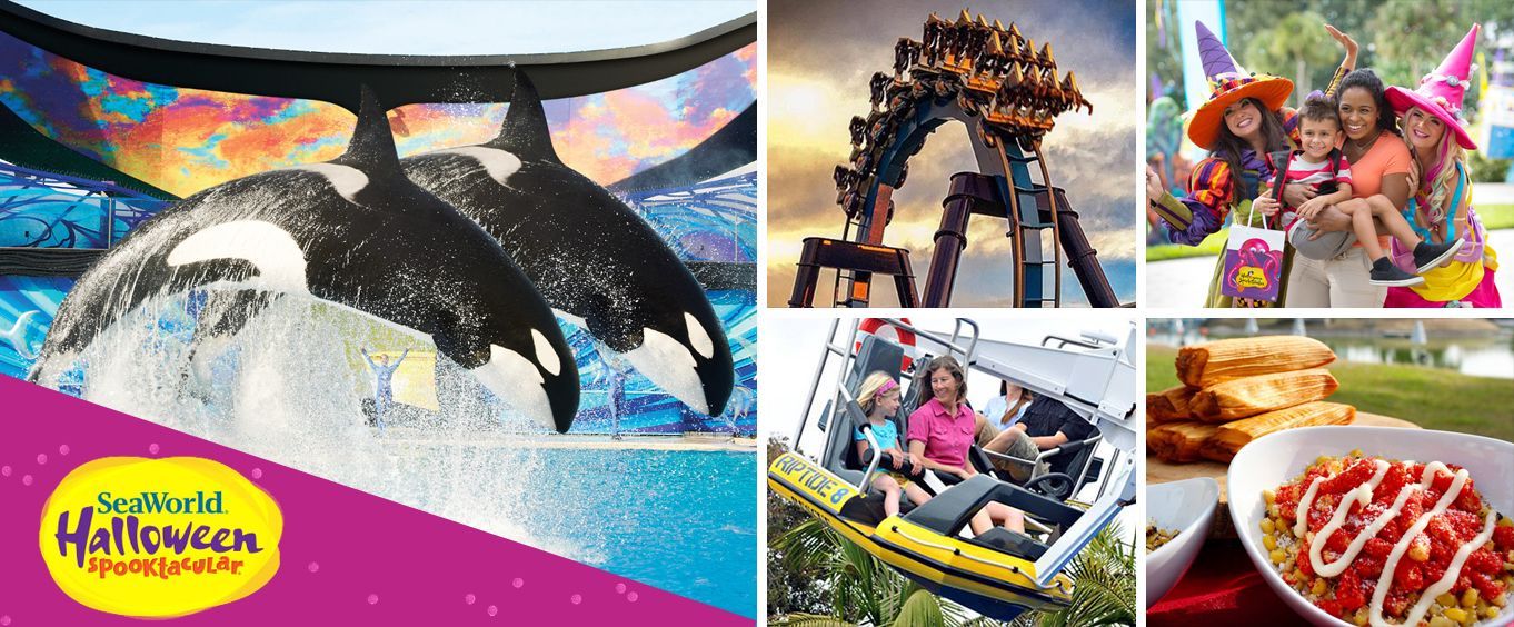 Halloween at SeaWorld San Antonio