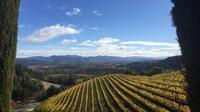 San Francisco to Napa Valley Day Trip
