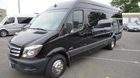 12 Passenger Mercedes Sprinter