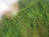 East Maui Special 45-minute Helicopter Tour