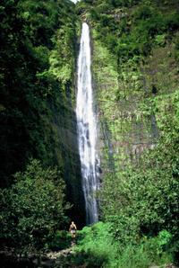 Waterfall and Rainforest Hike