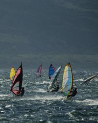 Visit Maui's world-famous windsurfing beach, Ho'okipa, and get the chance to see some sailboarders in action!