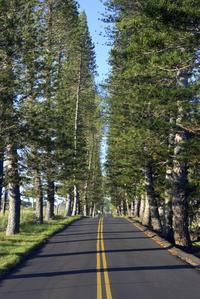 Private Maui Tour: Road to Hana