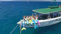 Hop aboard Whale Watch Vessel