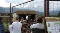 AK Wildlife Conservation Center
