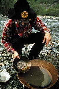 Gold Panning in Gold Creek