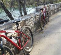 Bike Tour in Austin