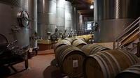 Tour of the wine making process in Santa Ynez
