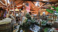 Amazing rock and fossil shop