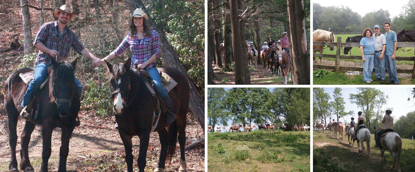 Horseback Riding Adventure on the Flame Azalea Trail Collage