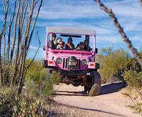 Cactus Canyon Adventure, cactus