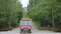 Back Country Excitement