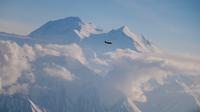 In the shadow of Denali's peaks