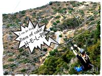 Catalina Island Day Trip from Anaheim or Los Angeles with Optional Upgrades