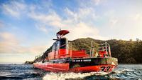 Underwater Adventure on Catalina Island