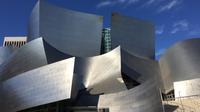 Walt Disney Concert Hall
