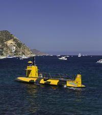 Catalina Island Day Trip