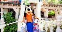 Disneyland Resort Express: Airport Transfer between John Wayne Airport and Anaheim Resort Area