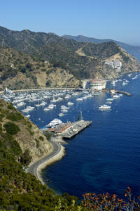 Catalina Island Helicopter Flight From Long Beach