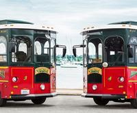 Grand Mansion of Newport Viking Trolley Tour