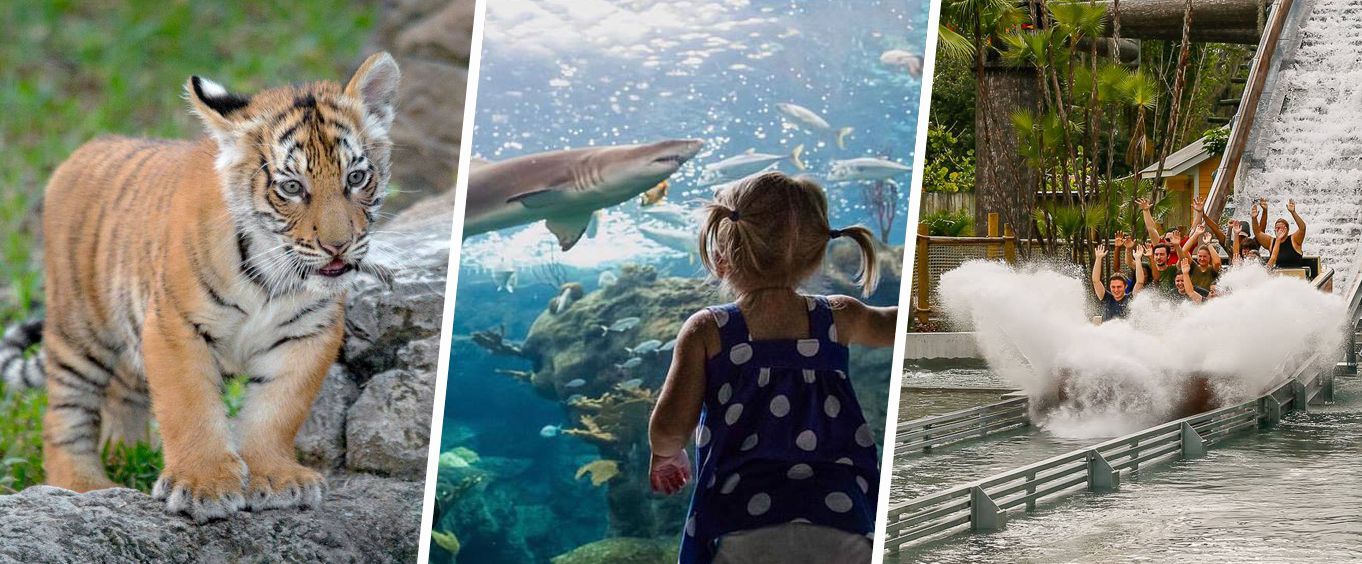 Best Tampa Bay, FL Aquariums & Zoos 2019 - 3950636