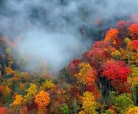 Smoky Mountains in the Fall