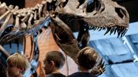 Houston Museum of Natural Science