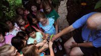 Children learn about insects during their visit.