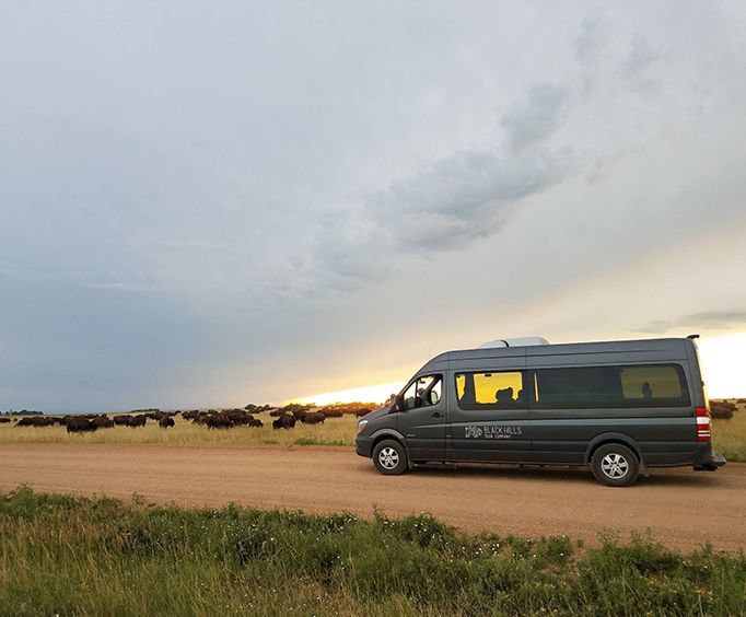Sunset and Cattle with Southern Black Hills Parks and Monuments Tour