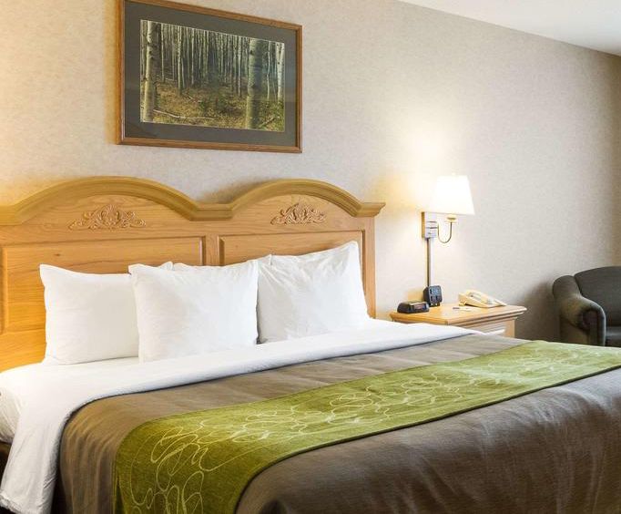 Comfort Inn Suites Custer Sd