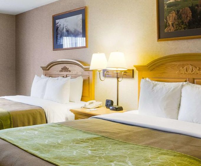 Comfort Inn Suites Custer Sd