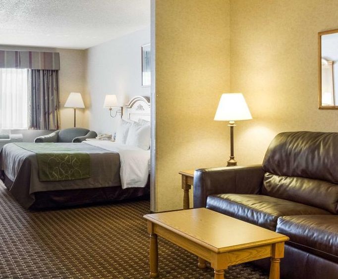 Comfort Inn Suites Custer Sd