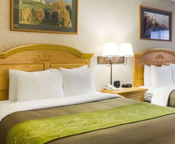 Comfort Inn Suites Custer Sd