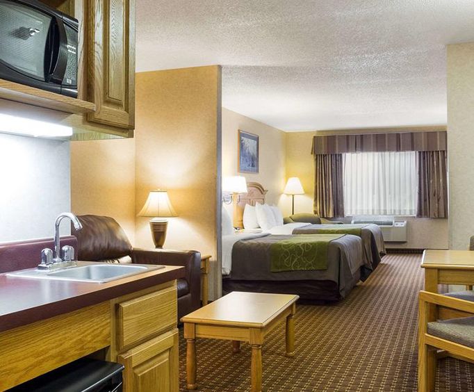 Comfort Inn Suites Custer Sd
