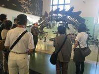 American Museum of Natural History Private VIP Tour