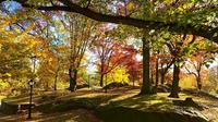 Central Park in Fall