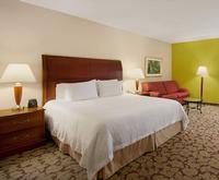 Room Photo for Hilton Garden Inn Hershey PA