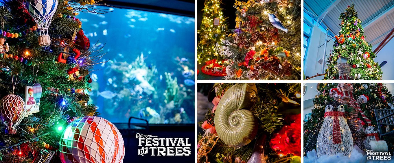 Christmas at Ripley's Aquarium