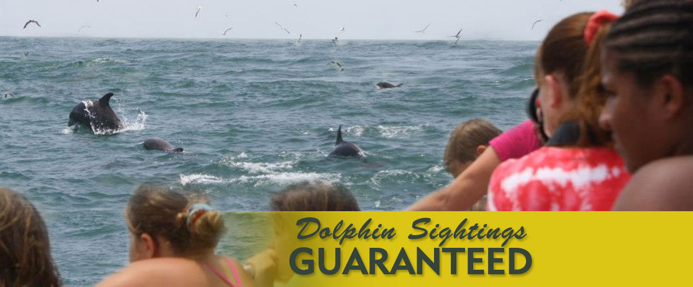 Dolphin Voyage Myrtle Beach Dolphin Voyage Myrtle Beach
