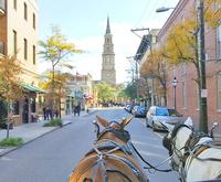 Day Trip to Charleston from Myrtle Beach