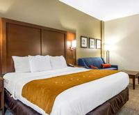 Comfort Suites - Conway Room Photos