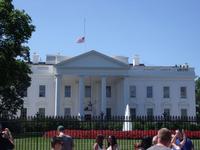 Guided Tour of Washington DC