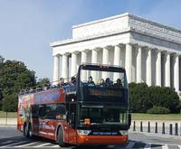 Beautiful Gardens to See with Washington DC Essential Hop-On Hop-Off Plus Bonus Tour