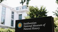 National Museum/Gallery