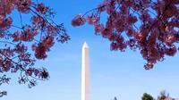 DC Tour
