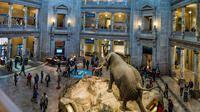 nmnh2